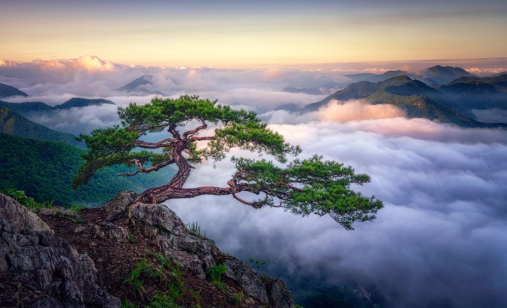 On The Rock art print by Tiger Seo for $57.95 CAD