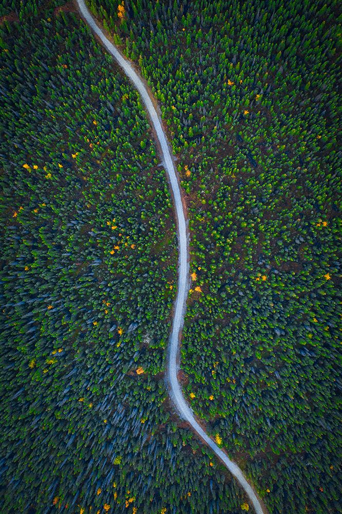 Silent Creek art print by Michael Zheng for $57.95 CAD