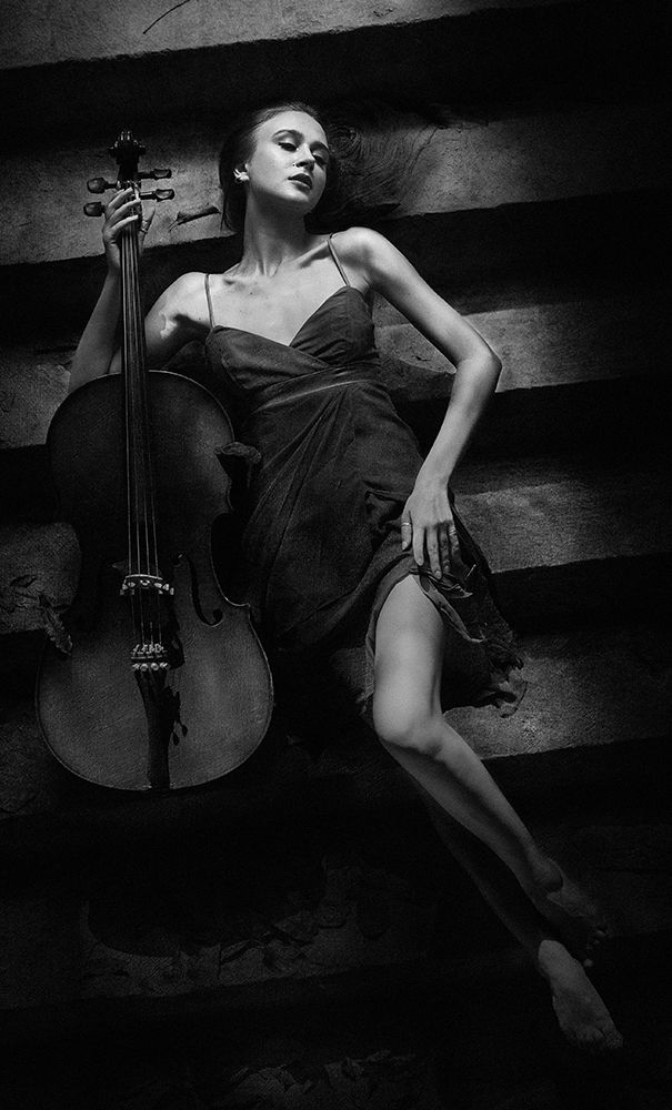 The Cellist art print by Sebastian Kisworo for $57.95 CAD