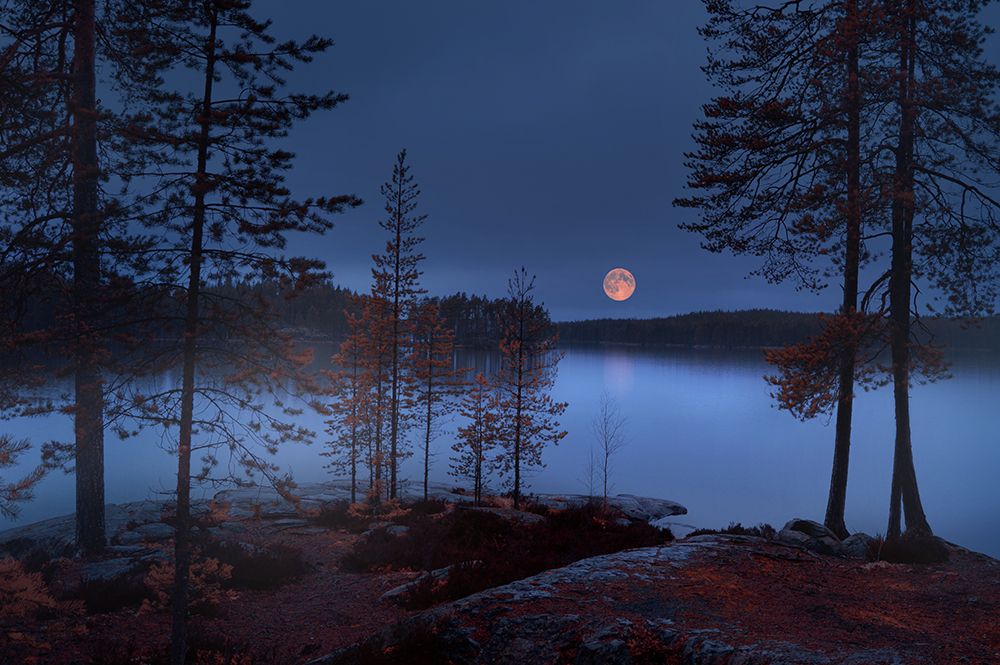 Red Moon art print by Nikki Georgieva V for $57.95 CAD