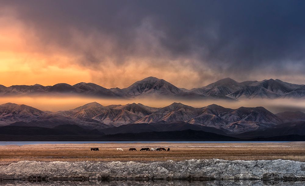 Misty Mountain Lake Horses art print by Larry Deng for $57.95 CAD