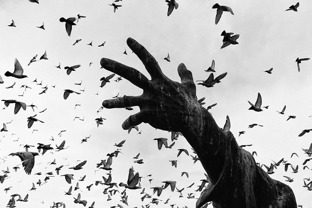Outstretched Hand Birds art print by Nazim Tetik for $57.95 CAD