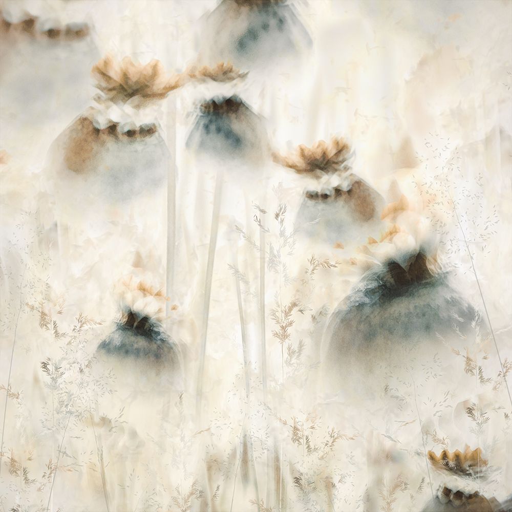 Seed Pods art print by Nel Talen for $57.95 CAD