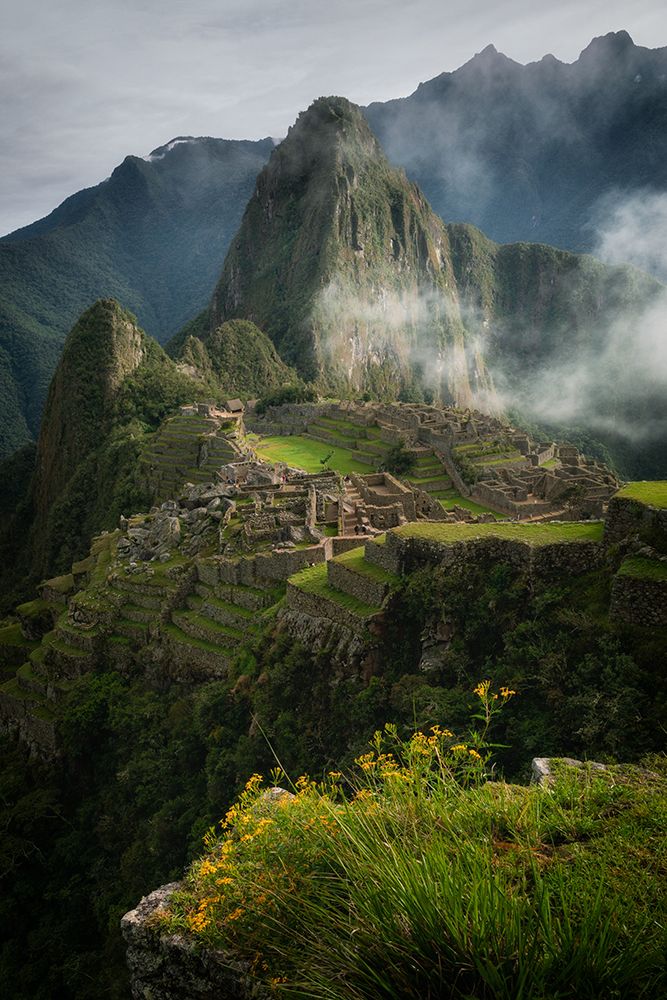 Andean Garden art print by James K. Papp for $57.95 CAD
