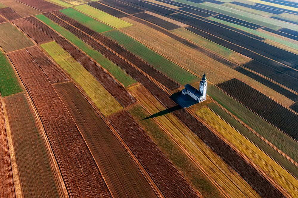 Soraiko Fields art print by Jure Kravanja for $57.95 CAD