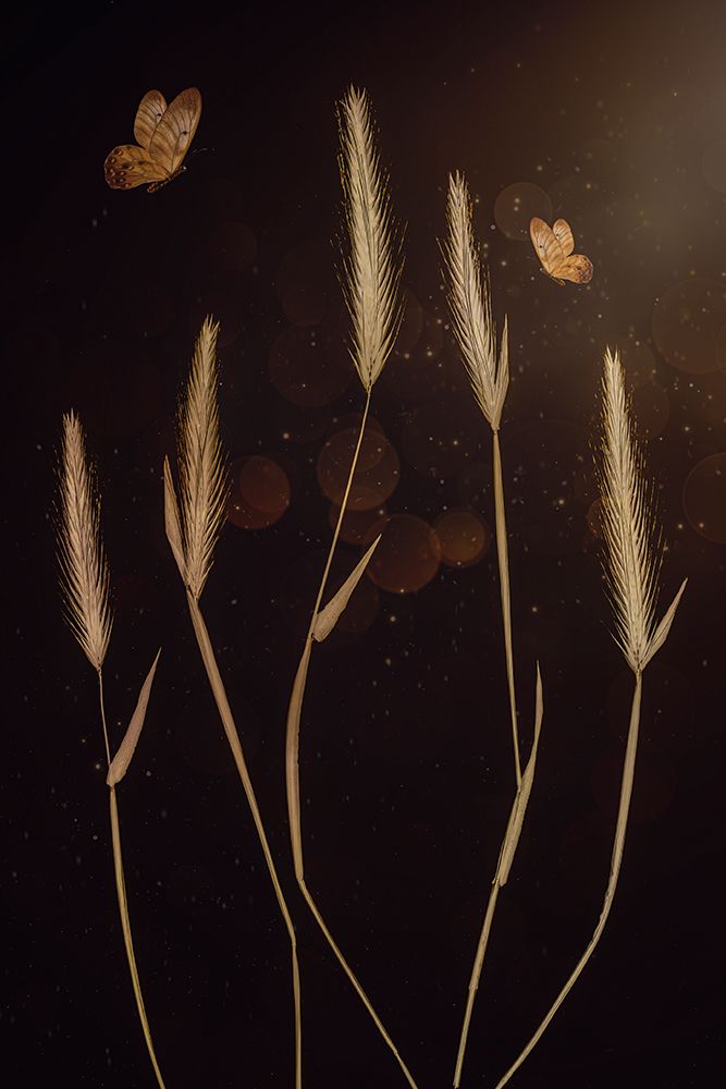 When It Is Dark art print by Cicek Kiral for $57.95 CAD
