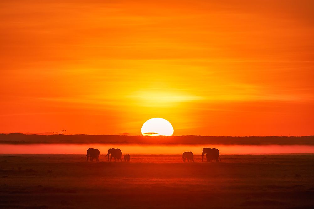 Africa Impression art print by Keren Wang for $57.95 CAD