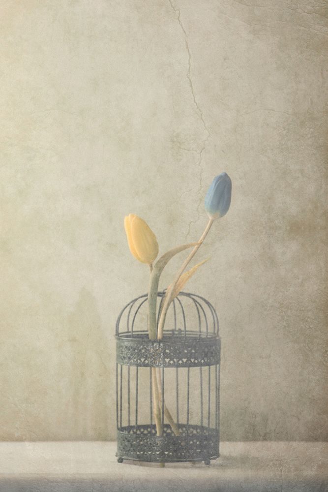 But Together... art print by Delphine Devos for $57.95 CAD