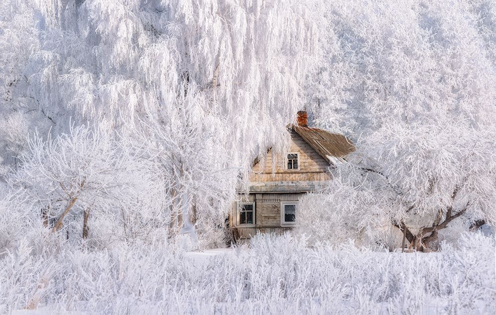 Winter Tale art print by Vlad Sokolovsky for $57.95 CAD