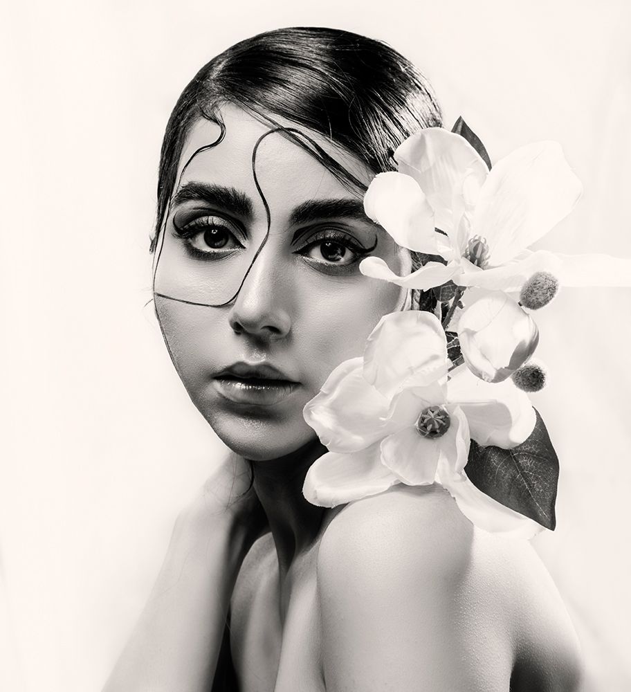 Elegant Lines and Magnolia art print by Samia Abbasi for $57.95 CAD