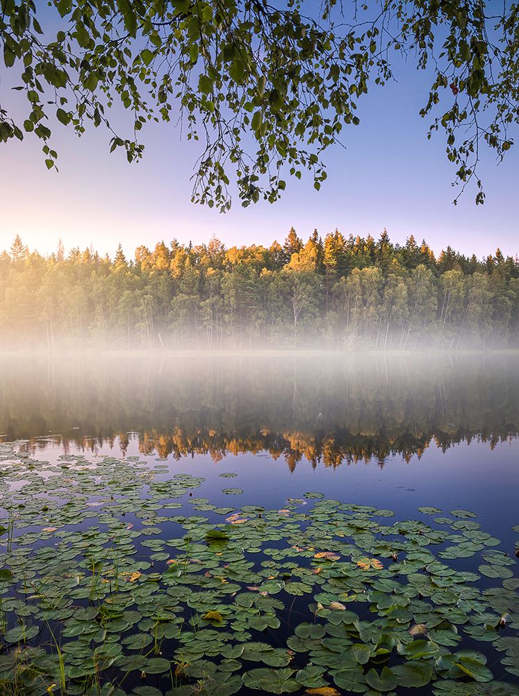 Calm Summer Night art print by Christian Lindsten for $57.95 CAD