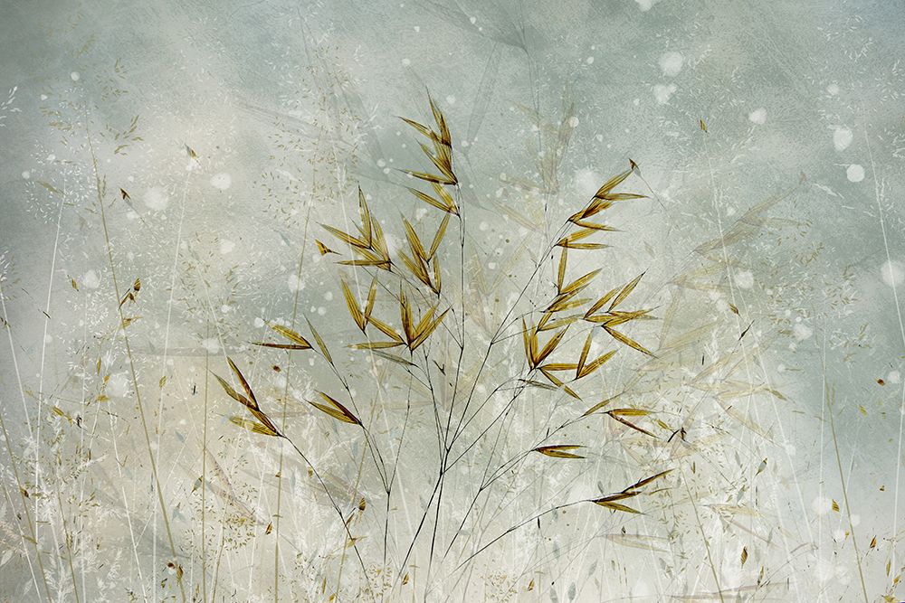 Wintertime art print by Nel Talen for $57.95 CAD