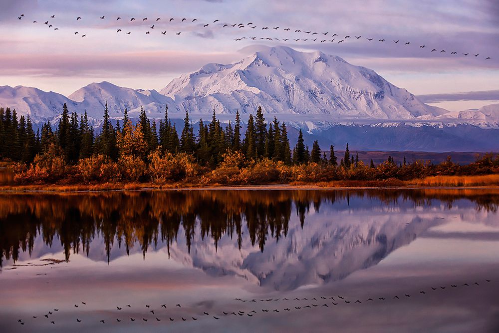 Flying Over art print by Michael Zheng for $57.95 CAD