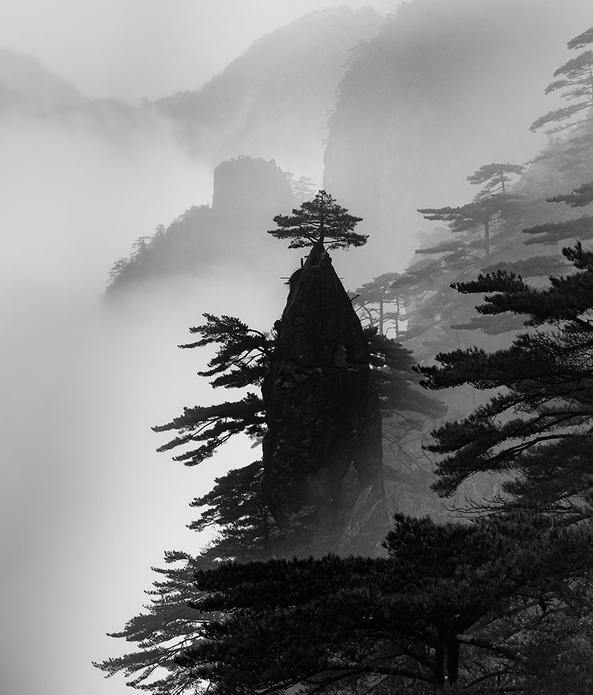 Standing Alone art print by Wei Dai for $57.95 CAD