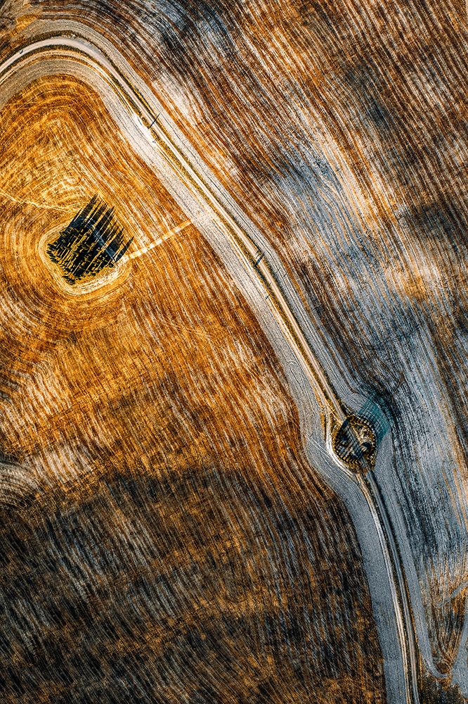 Series Tuscany - Lines And Curves art print by Carmine Chiriaco for $57.95 CAD