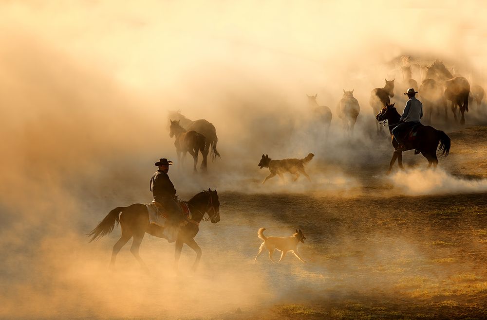 horses art print by durmusceylan for $57.95 CAD
