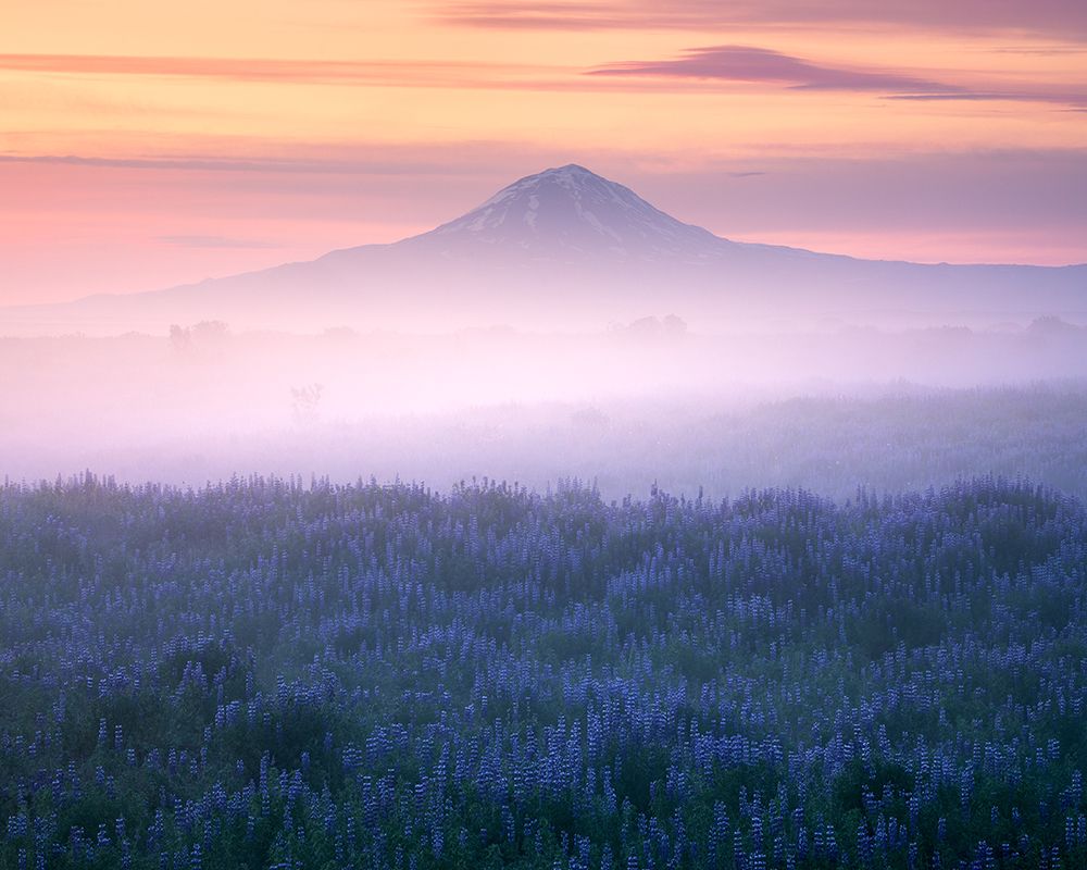 Iceland - Morning Calmness art print by Daniel Gastager for $57.95 CAD