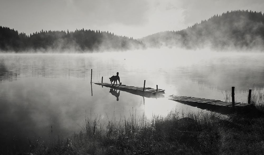 In the fog ... art print by Zlatina Peeva for $57.95 CAD