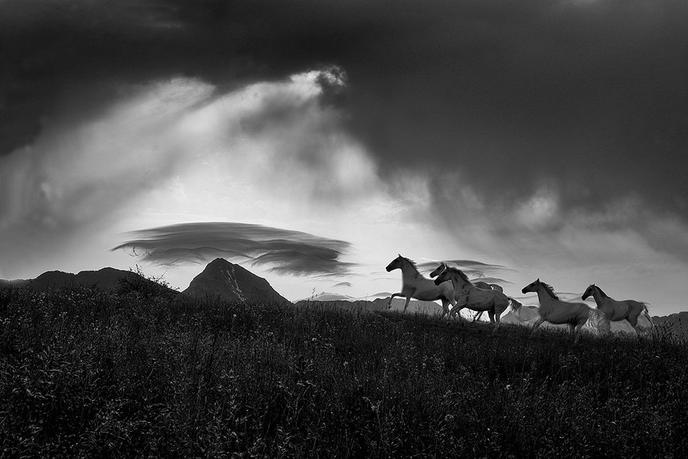 Before the storm art print by Milan Malovrh for $57.95 CAD