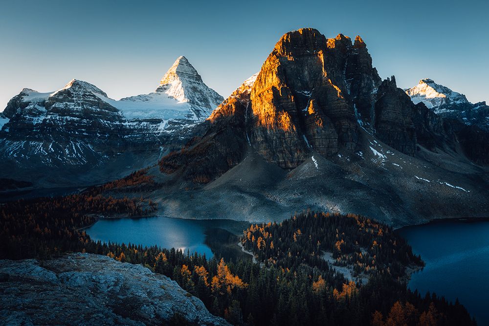 Morning Sunlight art print by Jason Ma for $57.95 CAD