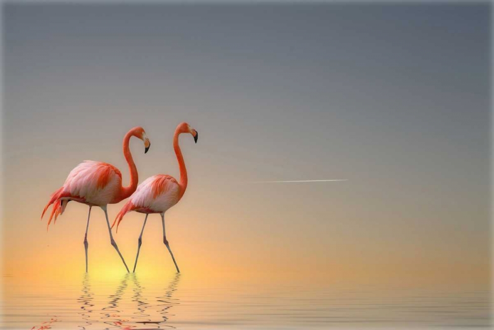 Serenity Ii art print by Anna Cseresnjes for $57.95 CAD