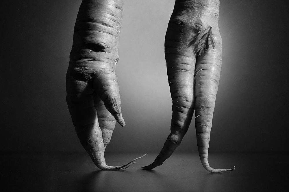 Just A Still Life Photo With Two Carrots. Nothing Else. art print by Victoria Glinka for $57.95 CAD
