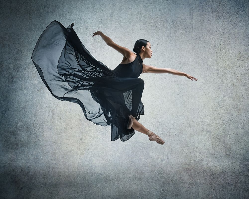Flying art print by Rob Li for $57.95 CAD