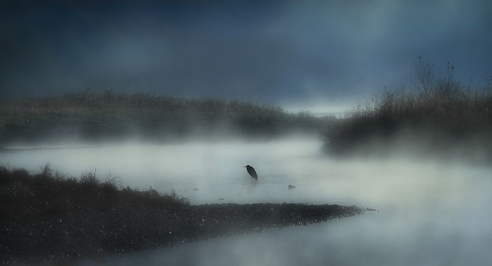 In The River Fog art print by Takafumi Yamashita for $57.95 CAD