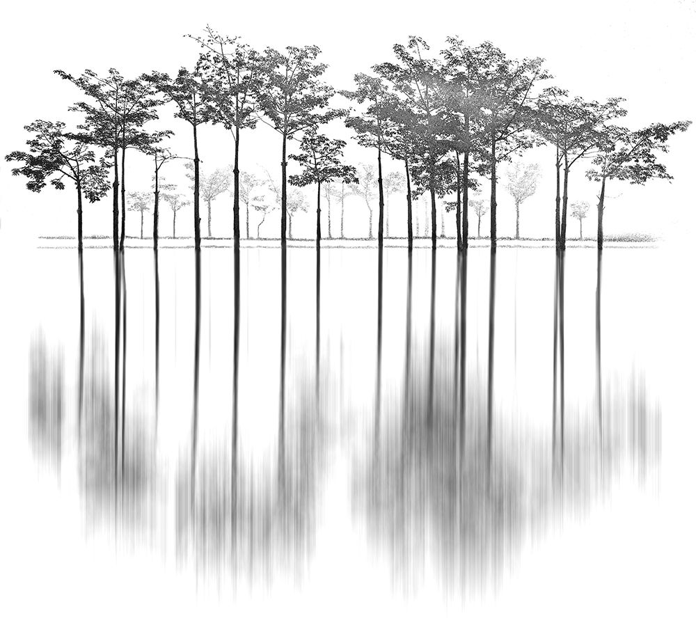 Reflections art print by Sami Ur Rahman for $57.95 CAD