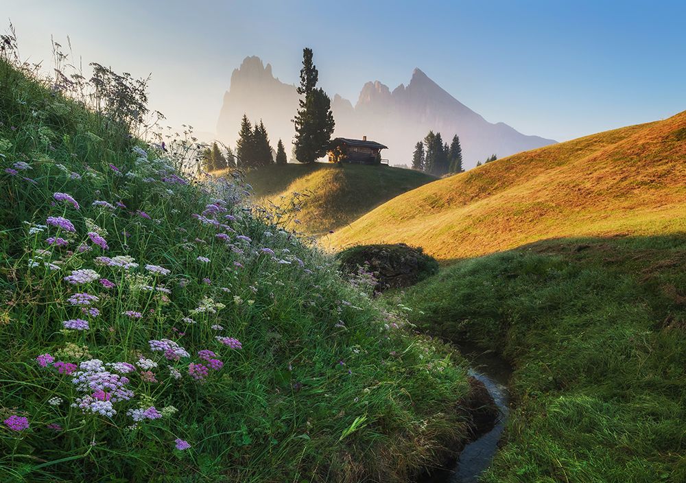 Flowery Morning art print by Ales Krivec for $57.95 CAD