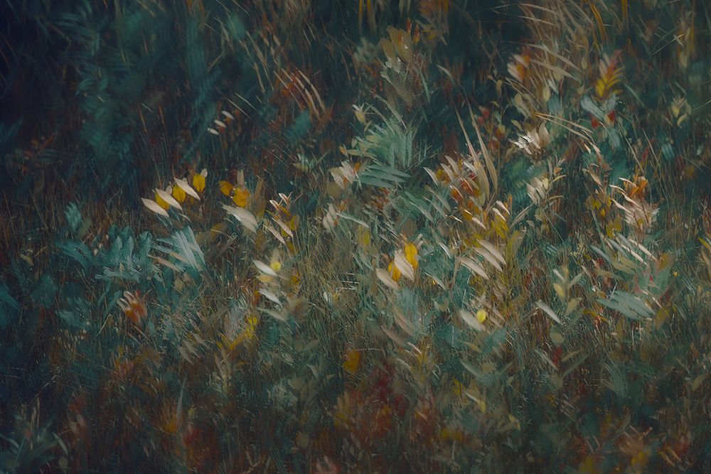 Late Summer art print by Nel Talen for $57.95 CAD