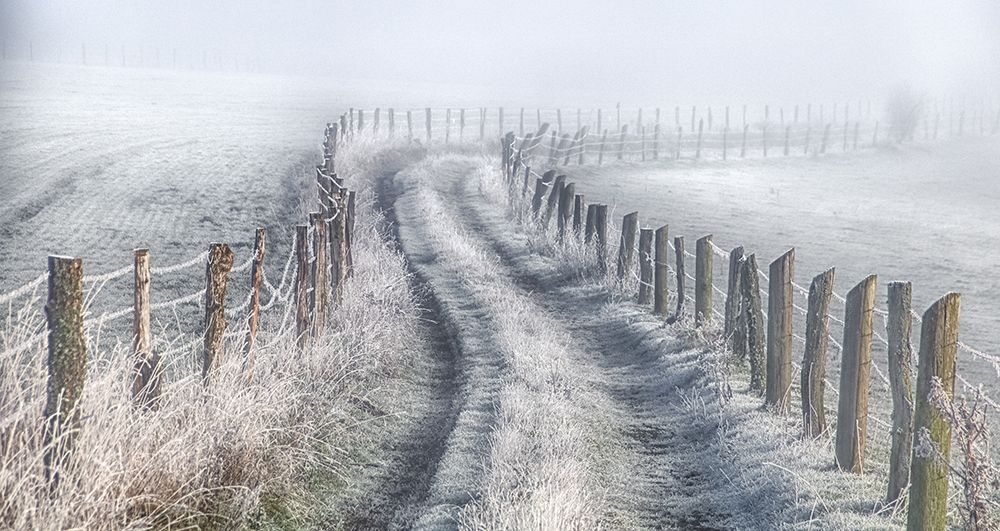 The Way art print by Guy Krier for $57.95 CAD