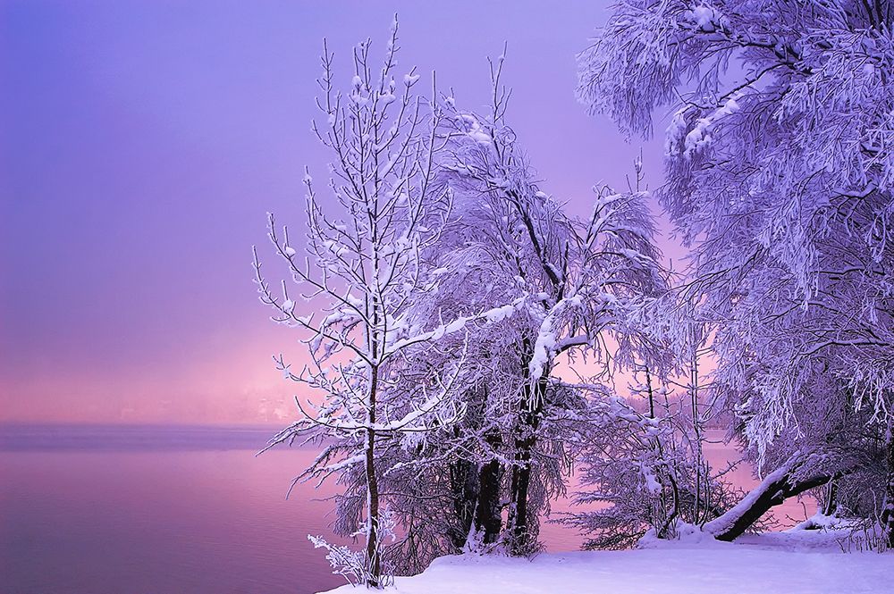 Stillness art print by Norbert Maier for $57.95 CAD