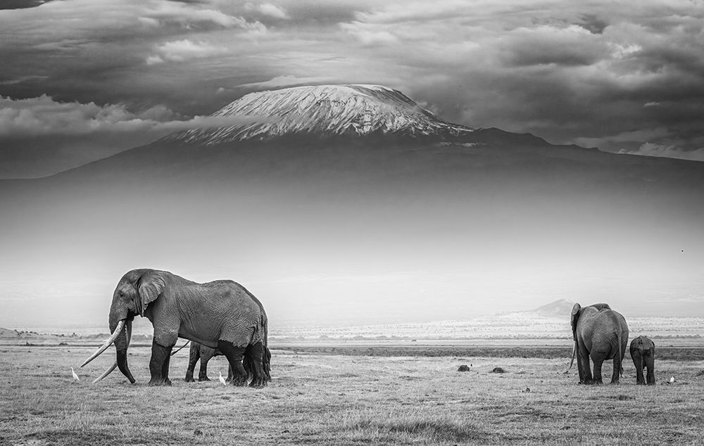 The Land Of Giants art print by Jeffrey C. Sink for $57.95 CAD