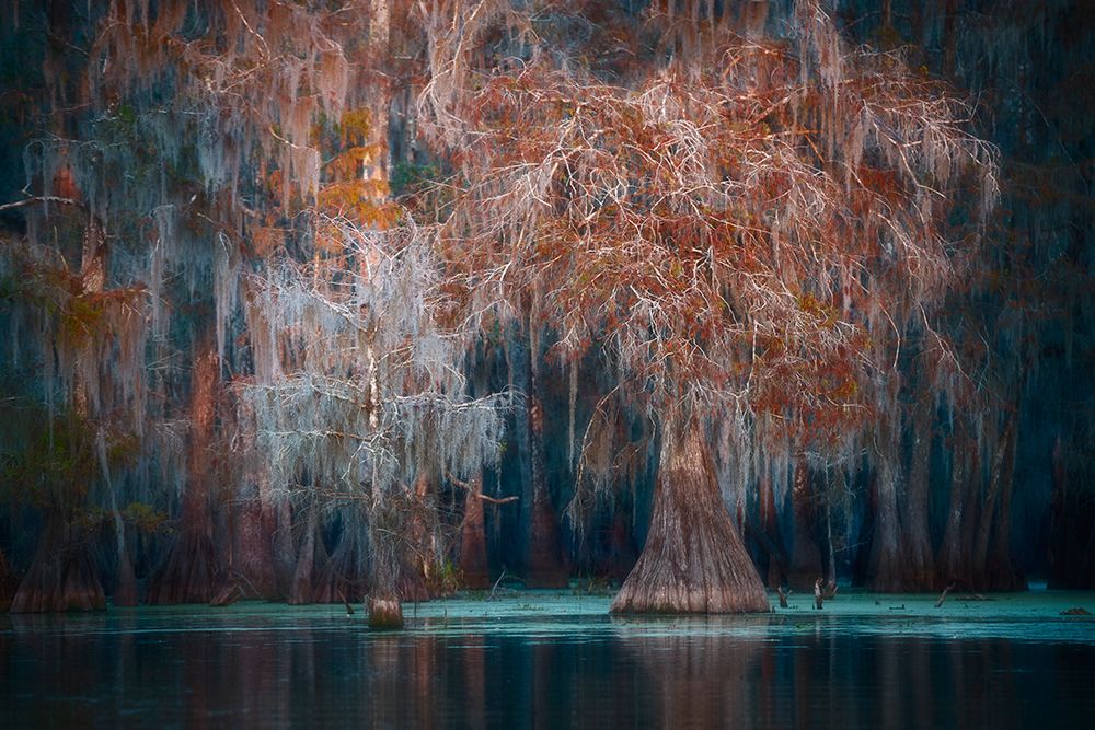 Louisiana art print by Roberto Marchegiani for $57.95 CAD