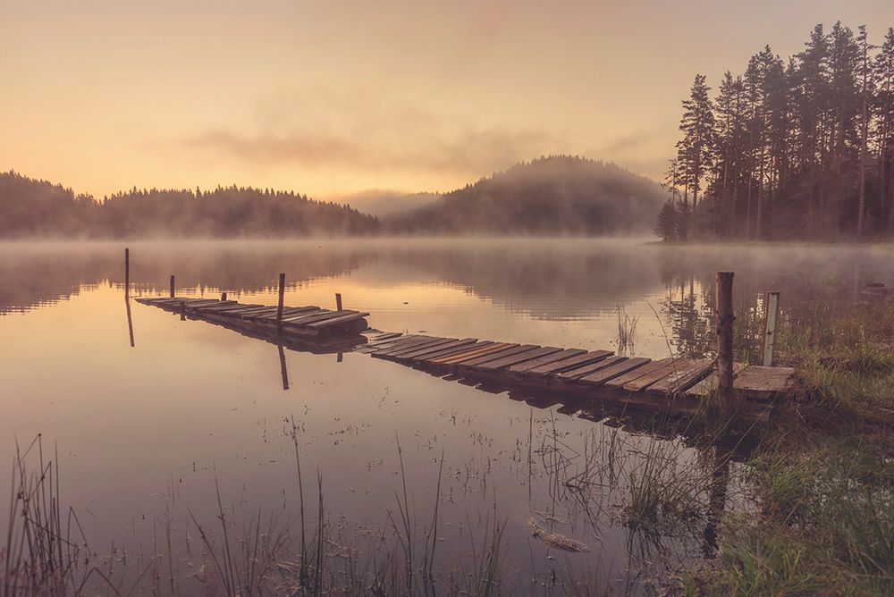In The Morning art print by Zlatina Peeva for $57.95 CAD