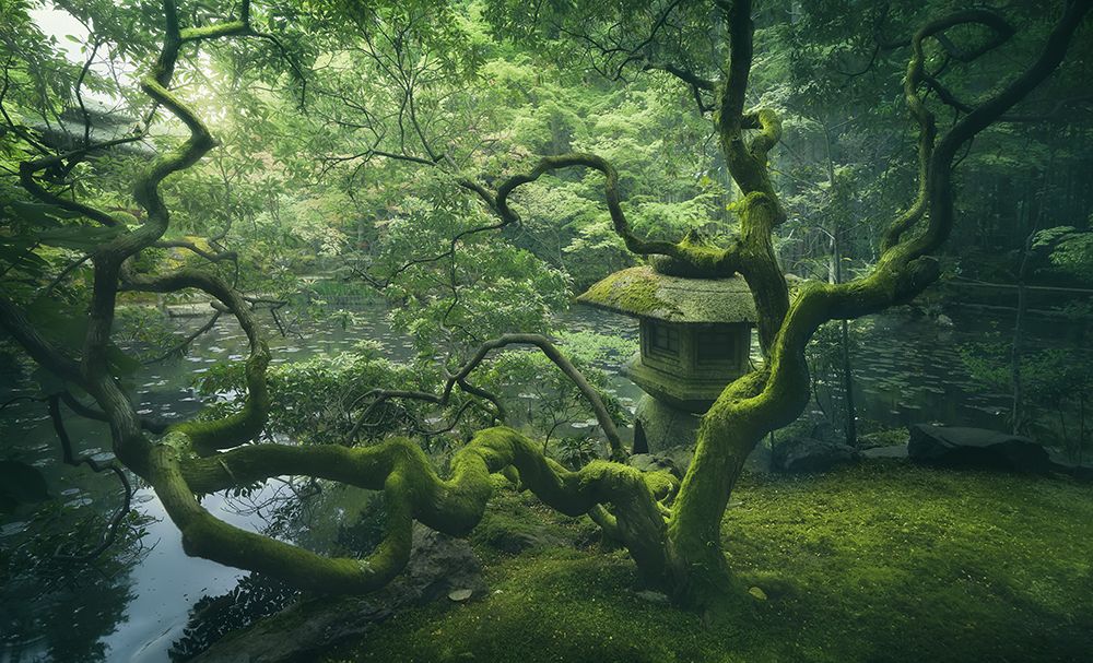 Japanese Tree art print by Javier De La for $57.95 CAD