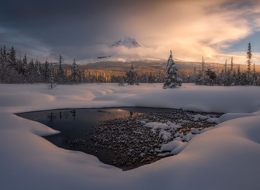 A Chill in the Air art print by Ryan Dyar for $57.95 CAD