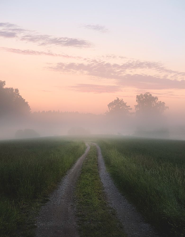Foggy Road art print by Christian Lindsten for $57.95 CAD