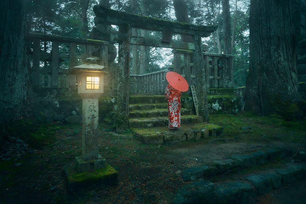 Okunoin Cemetery art print by Javier De La for $57.95 CAD