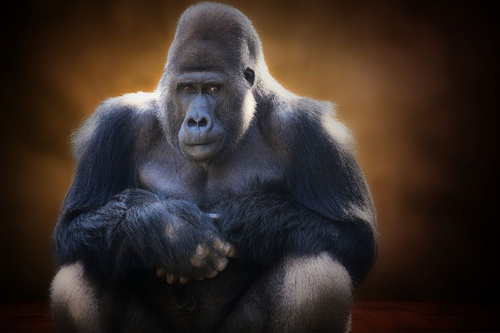 SOUR art print by Antje Wenner-Braun for $57.95 CAD