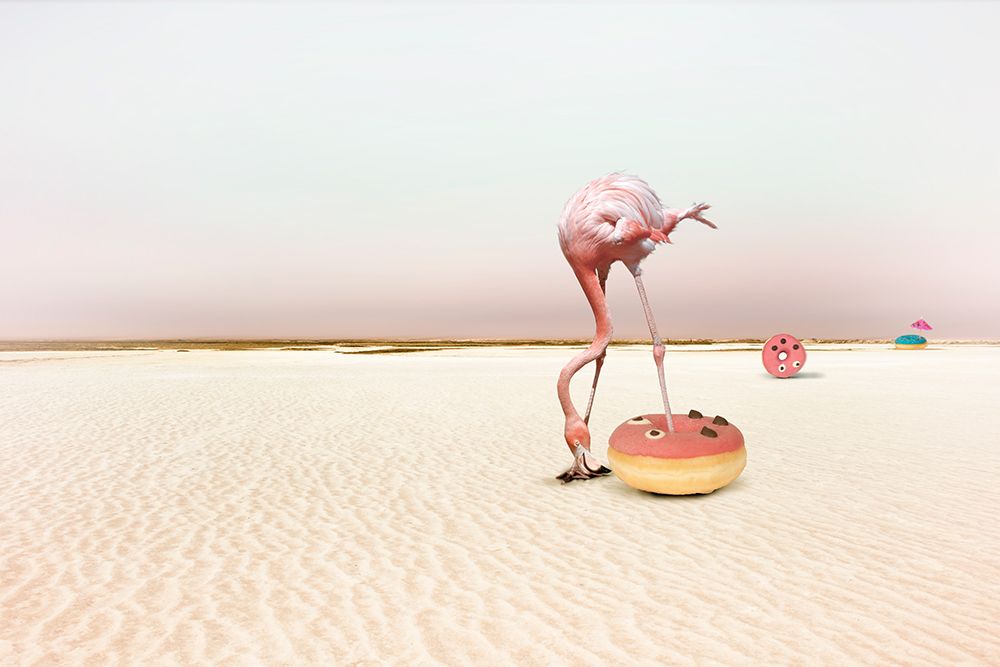 Donutbeach art print by Christine Von Diepenbroek for $57.95 CAD