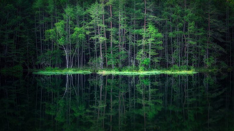 Green World art print by Takeshi Mitamura for $57.95 CAD