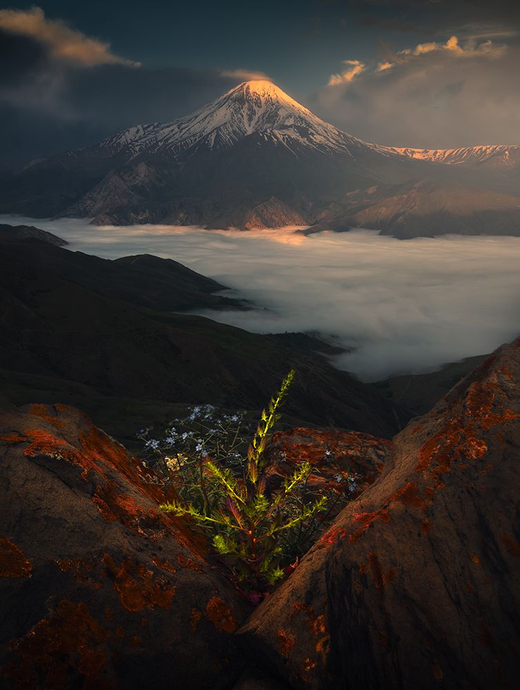 Mount Damavand In Spring art print by Majid Behzad for $57.95 CAD