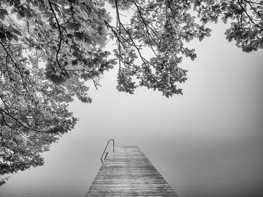 The Sound Of Silence art print by Margit Lisa Roeder for $57.95 CAD