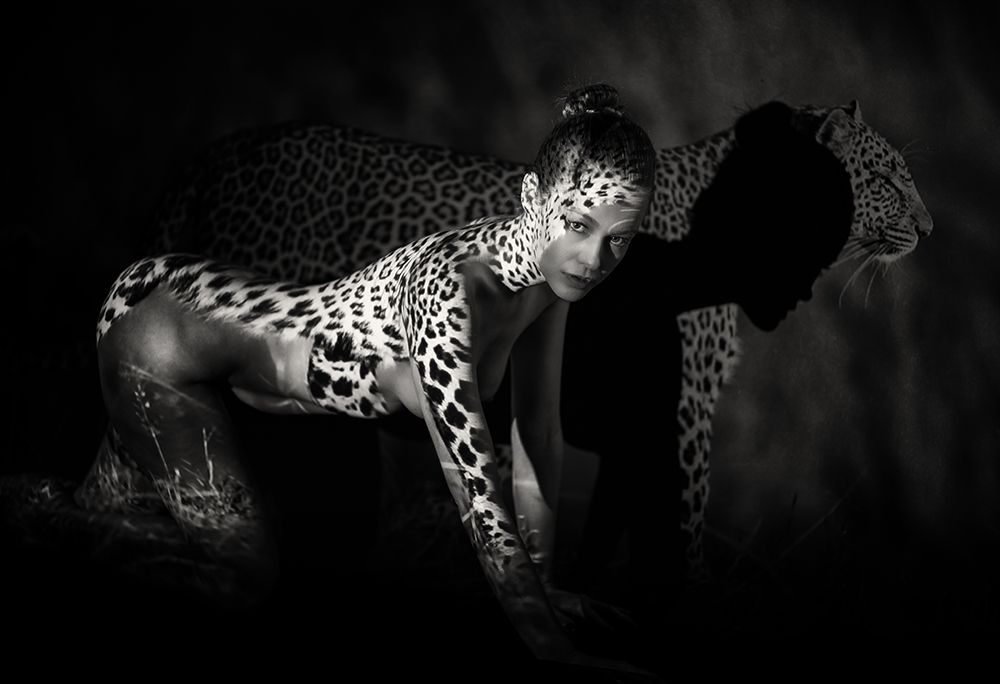 The Leopard art print by James Yang for $57.95 CAD