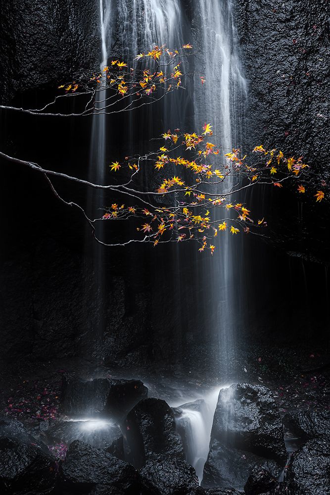 Fall art print by Suntararak Saowanee for $57.95 CAD