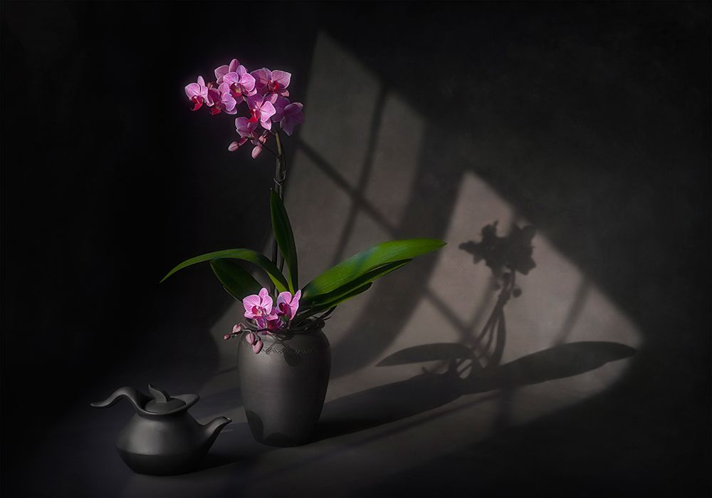 Warm Sunlight art print by Lydia Jacobs for $57.95 CAD