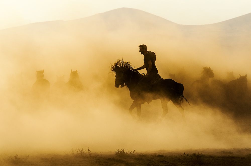Outlaw art print by Emir Bagci for $57.95 CAD