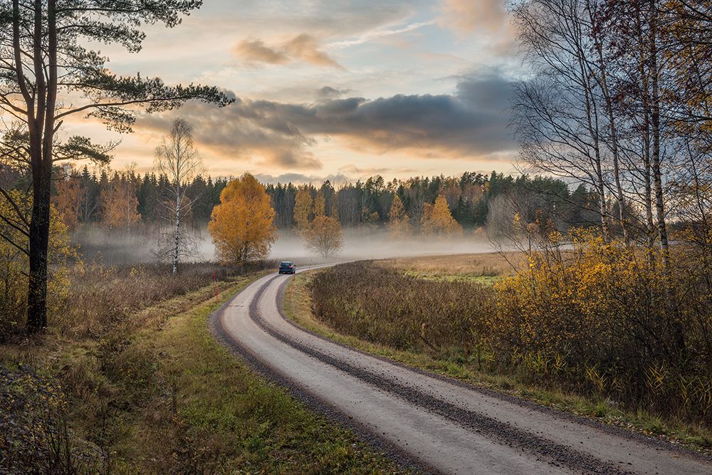 Drive In Autumn Colors art print by Christian Lindsten for $57.95 CAD